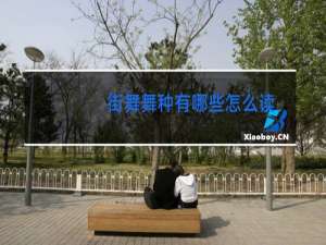 街舞舞种有哪些怎么读