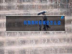 街舞舞种有哪些怎么读