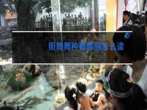 街舞舞种有哪些怎么读