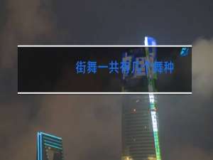 街舞一共有几个舞种