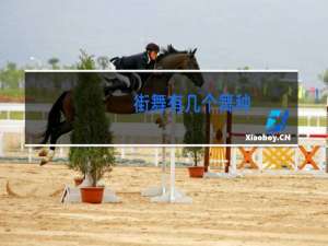 街舞有几个舞种
