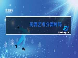 街舞艺考分舞种吗