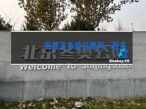 街舞艺考培训费用一般多少