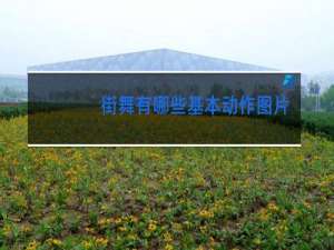 街舞有哪些基本动作图片