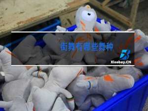 街舞有哪些舞种