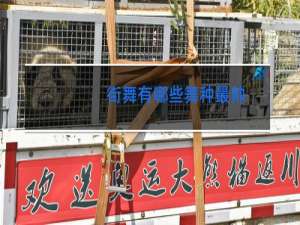 街舞有哪些舞种最帅