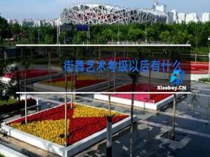 街舞艺术考级以后有什么用