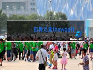 街舞元素thewop什么意思