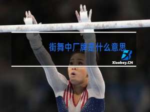 街舞中厂牌是什么意思