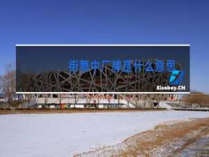 街舞中厂牌是什么意思