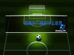 街舞中厂牌是什么意思