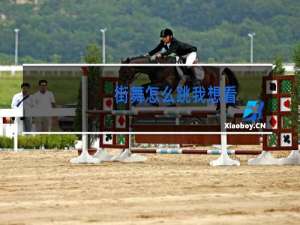 街舞怎么跳我想看