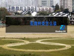 街舞种类怎么读