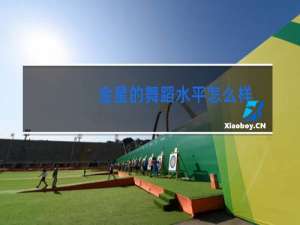 金星的舞蹈水平怎么样