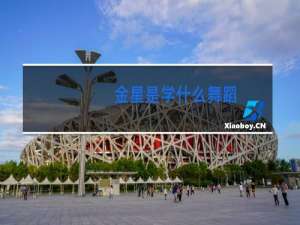 金星是学什么舞蹈