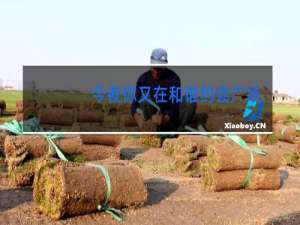 今夜你又在和谁约会广场舞