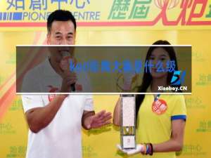 kod街舞大赛是什么级别