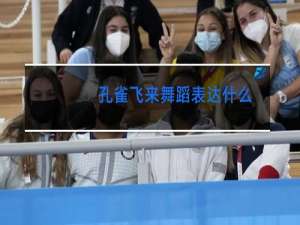 孔雀飞来舞蹈表达什么