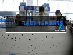 孔雀舞是什么民族的舞蹈