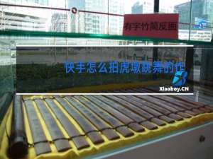 快手怎么拍虎墩跳舞的作品