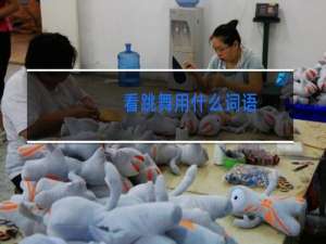 看跳舞用什么词语