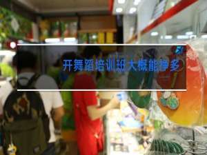 开舞蹈培训班大概能挣多少钱