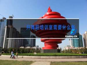 开舞蹈培训室需要什么条件