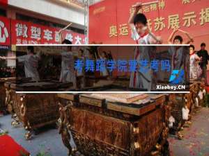 考舞蹈学院要艺考吗