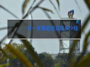 开一家舞蹈培训班多少钱