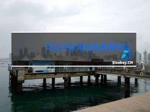 可以在家用地毯跳舞的叫什么