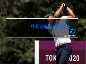 马蒂斯舞蹈受谁委托