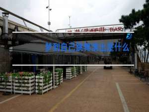 梦到自己跳舞演出是什么意思