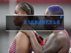 龙飞凤舞跳舞机怎么调