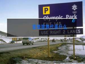 蜜蜂跳舞代表什么