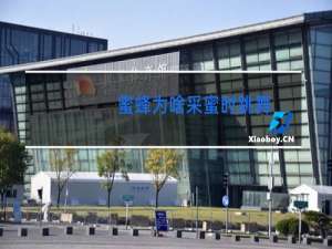 蜜蜂为啥采蜜时跳舞