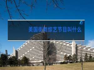 美国街舞综艺节目叫什么