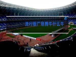 流行版广场舞牛什么牛