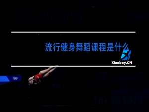 流行健身舞蹈课程是什么