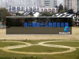 流行舞是什么舞蹈是街舞吗