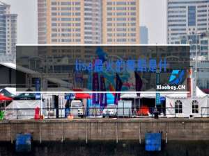 lisa最火的舞蹈是什么歌