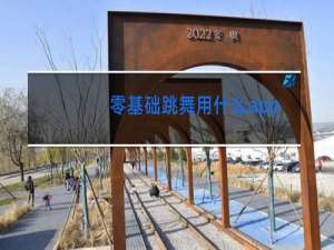 零基础跳舞用什么app