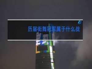 历届街舞冠军属于什么战队