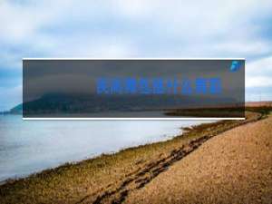 民间舞包括什么舞蹈