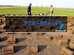 梦见有人跳舞什么意思