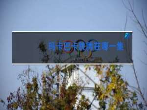 玛卡巴卡跳舞在哪一集