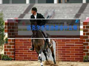 迈克尔杰克逊都会什么舞蹈