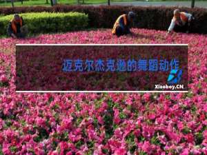 迈克尔杰克逊的舞蹈动作有什么意义