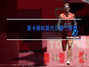 莱卡棉和莫代尔哪个好舞蹈