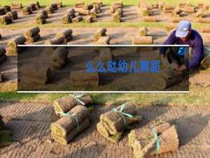 么么哒幼儿舞蹈