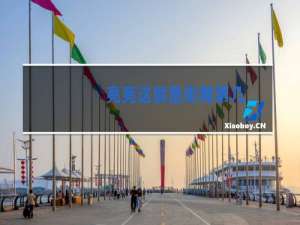 亮亮这就是街舞第几